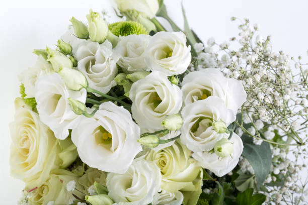 istock Close up of white roses 893500498
