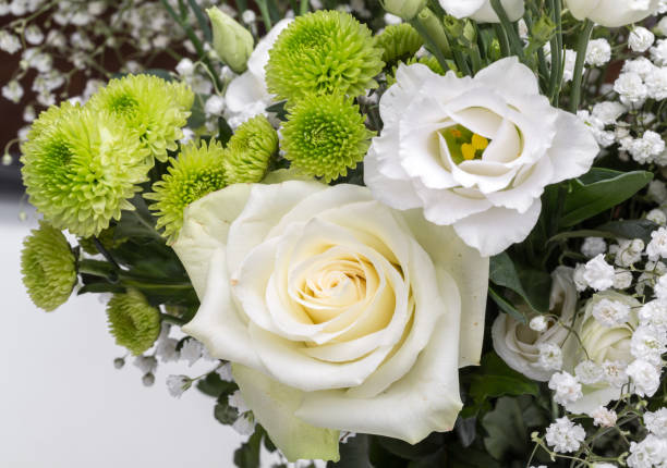 istock Close up of white roses 893500642