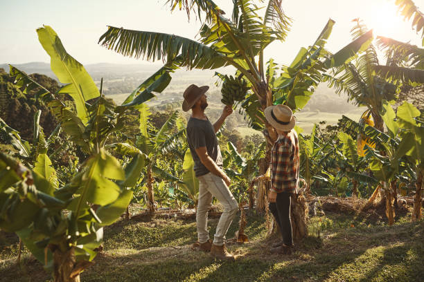 We get to live where bananas grow