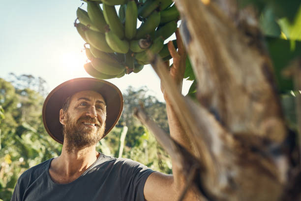 istock For me, agriculture is my destiny 893500970