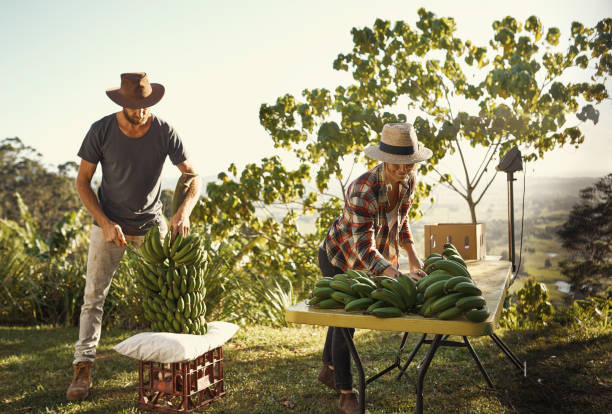 istock Our livelihood depends entirely on our crops7410 893500980