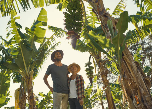 istock There's nothing quite like working with nature 893500998