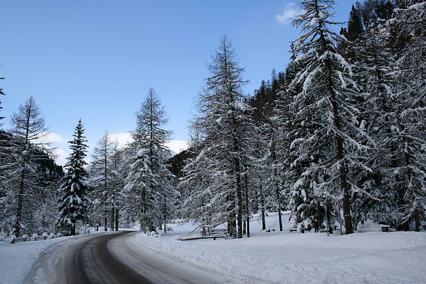 istock Winter Country Road 89350440