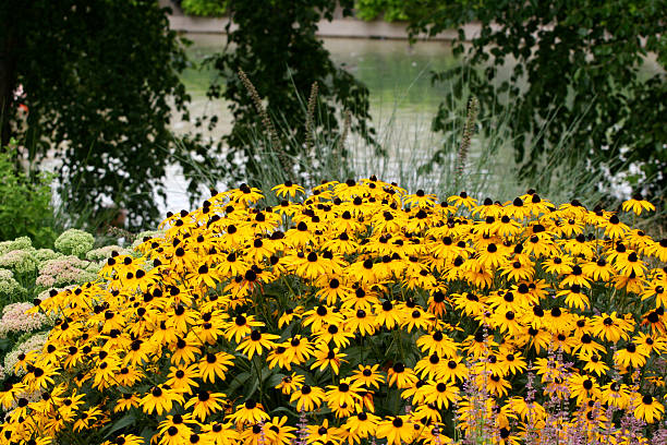 istock Flower Garden by the Lake 89351465