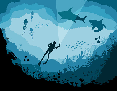 Divers and sharks, reef Underwater wildlife, jellyfish, fish on a blue sea background.