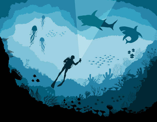 Divers and sharks, reef Underwater wildlife Divers and sharks, reef Underwater wildlife, jellyfish, fish on a blue sea background. fish silhouettes stock illustrations
