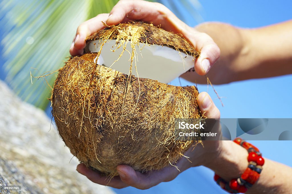 opening paradise  Animal Shell Stock Photo