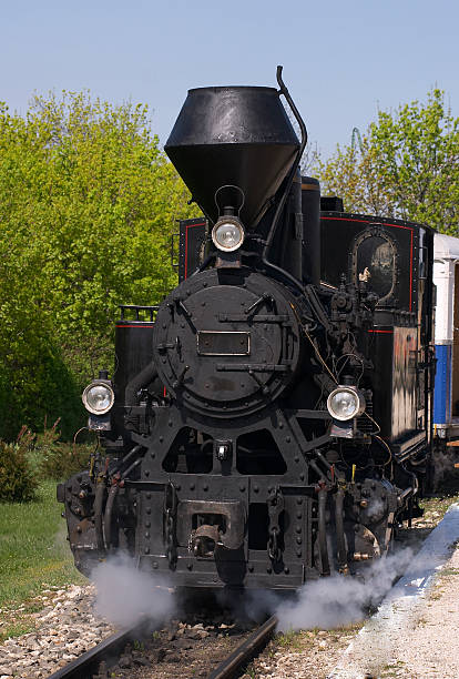 istock Locomotive at the station 89351903