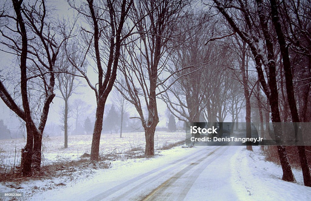 冬景色の - カラー画像のロイヤリティフリーストックフォト