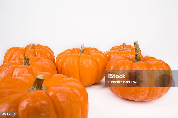 Pumpkins Stock Photo - Download Image Now - Autumn, Blank, Color Image