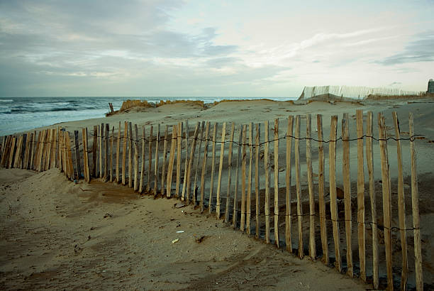Nortsea beach with fences of wooden stakes, Zandvoort, Netherlands stock photo