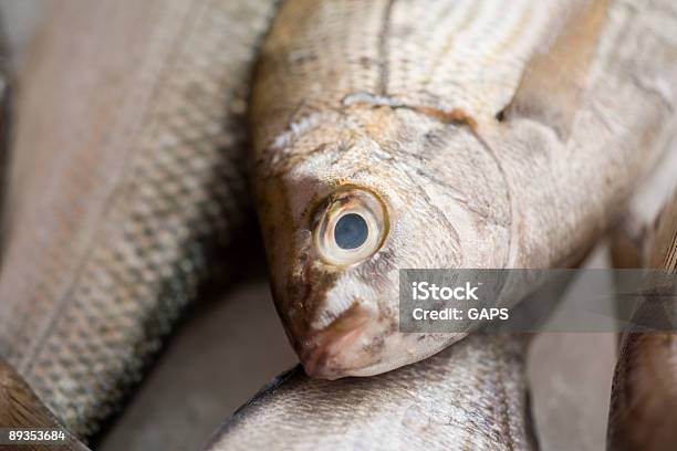 신선한 생선 대한 시장 0명에 대한 스톡 사진 및 기타 이미지 - 0명, 동물 피부, 물고기
