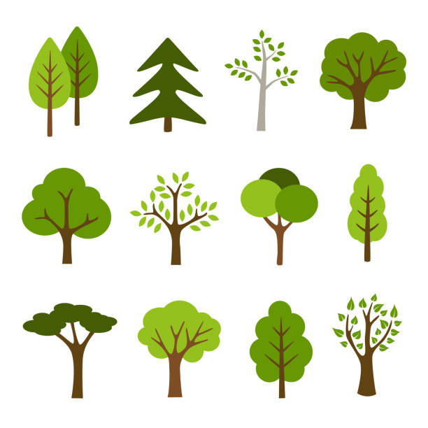 illustrazioni stock, clip art, cartoni animati e icone di tendenza di collezione alberi - albero