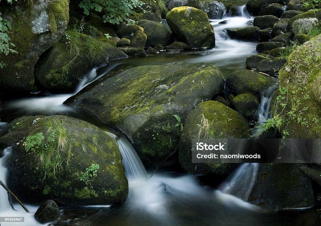 Cascada río de montaña - Foto de stock de Musgo - Flora libre de derechos