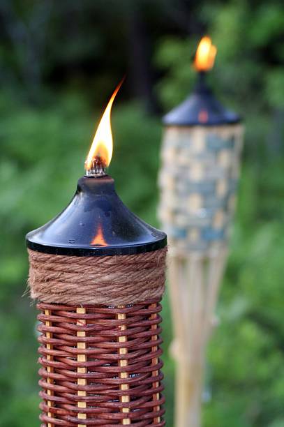 luci di fuoco della torcia in bambù - candle lemon grass insect repellant insect foto e immagini stock