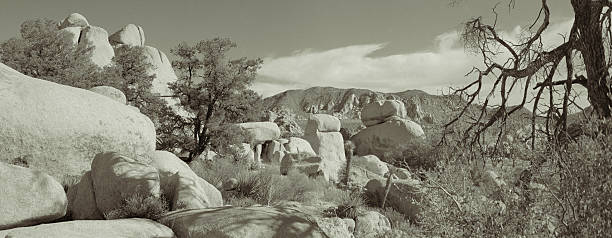 rock saillie rocheuse dans le désert de mojave de joshua tree national park - coachella southern california california southwest usa photos et images de collection