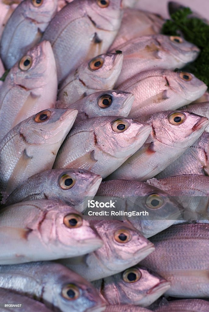 Marché de poissons Series - Photo de Aliment libre de droits