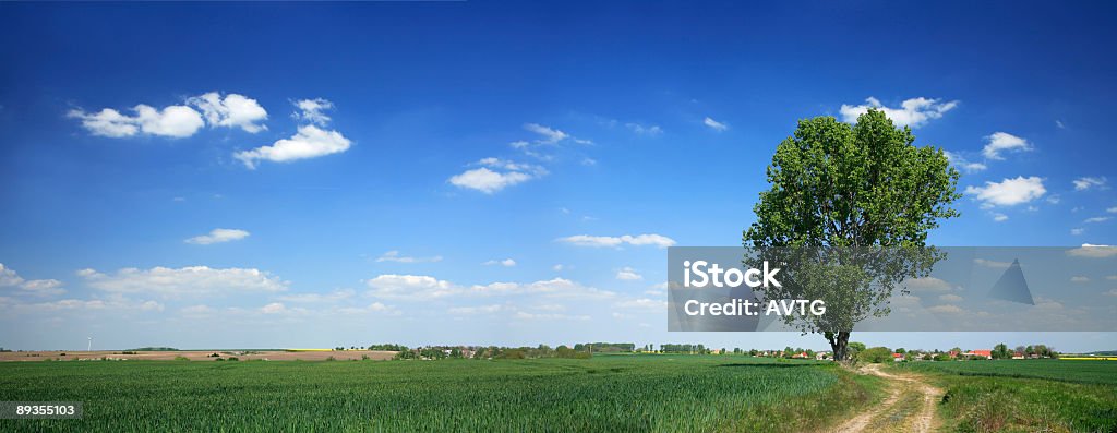 Vista panorámica del paisaje de primavera - Foto de stock de Agricultura libre de derechos