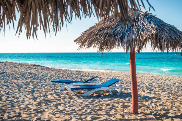 istock Caribbean Beach with sun lounger 893552274