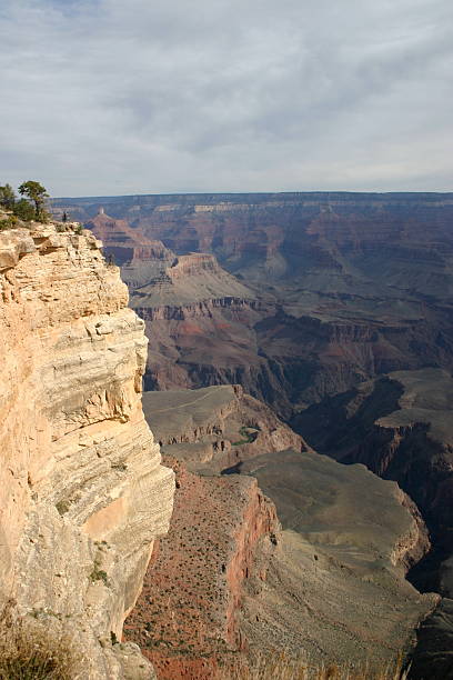 Grand Canyon View 1 stock photo