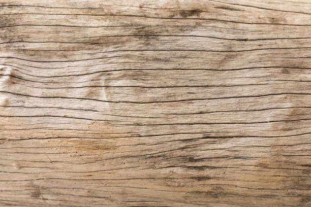 istock background of old dry wood 893555430