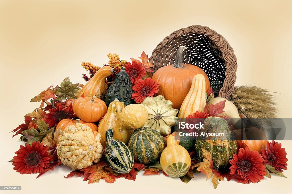 秋の色 - 小麦のロイヤリティフリーストックフォト