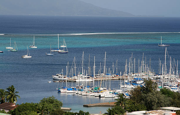 tropical marina - french polynesia pier lagoon nautical vessel - fotografias e filmes do acervo