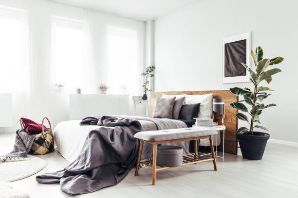 istock Plant in bright bedroom 893560632