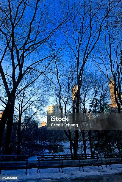View Of Central Park Stock Photo - Download Image Now - Bench, Blizzard, Blue