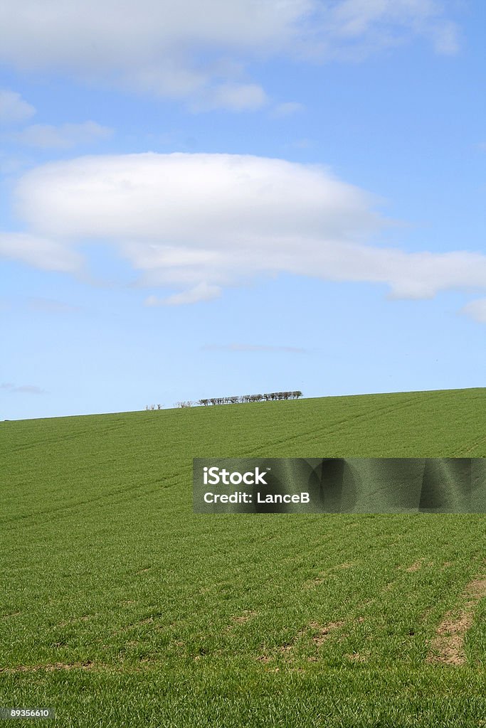 Campo Verde e céu azul - Royalty-free Ao Ar Livre Foto de stock