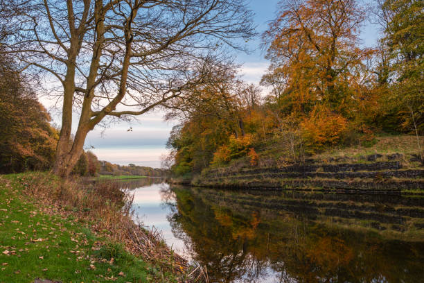 istock Wansbeck Riverside Park in Autumn 893569068
