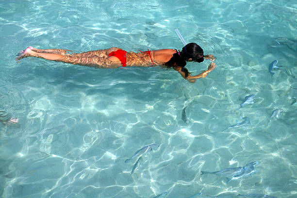 Young Woman Snorkeling stock photo