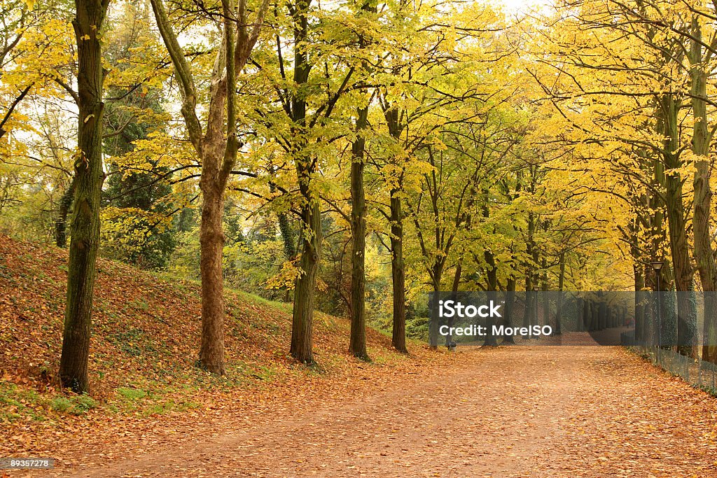 Magnifique countryroad - Photo de Automne libre de droits