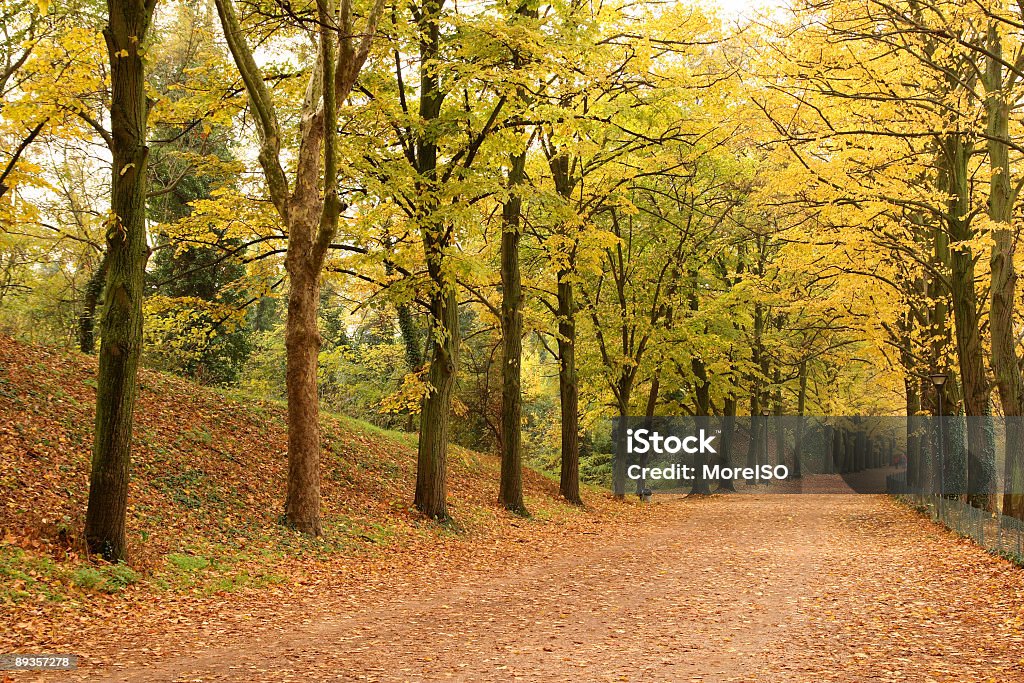 Красивые countryroad - Стоковые фото Осень роялти-фри