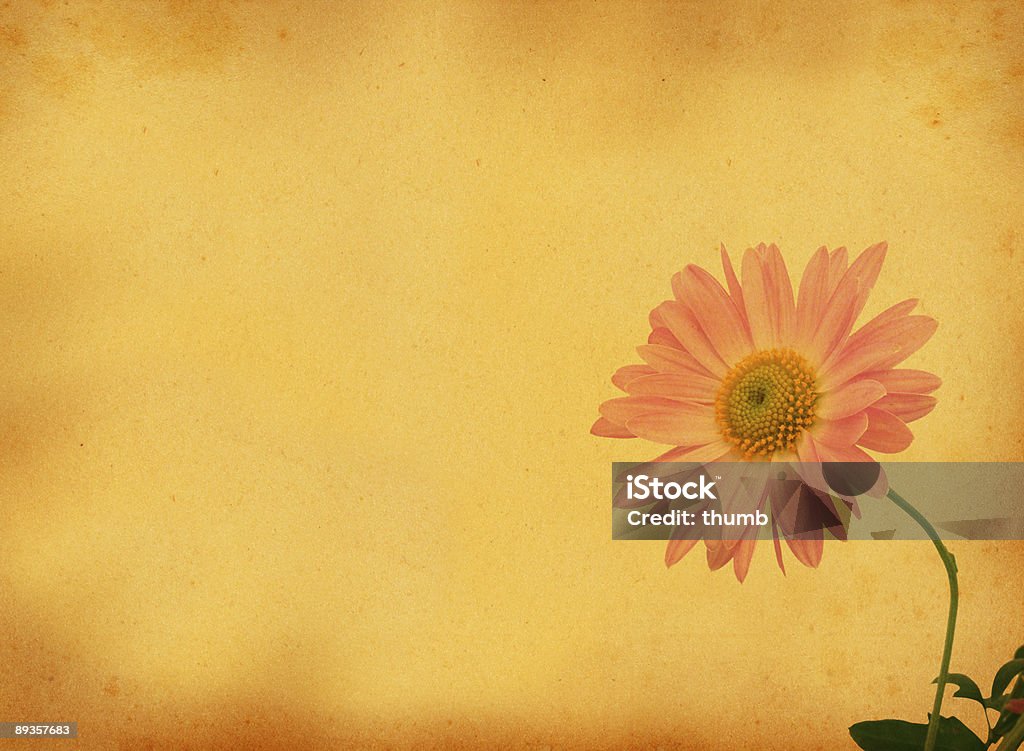 Fundo retrô com motivo de flor - Foto de stock de Amarelo royalty-free