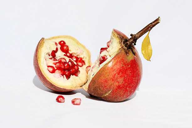 Pomegranate stock photo