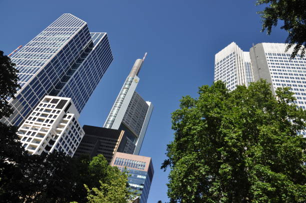 istock Skyscrapers in Frankfurt 893579082