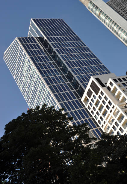 istock Skyscrapers in Frankfurt 893584804