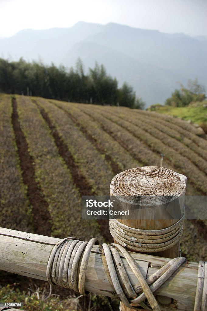 fattoria - Foto stock royalty-free di Agricoltura