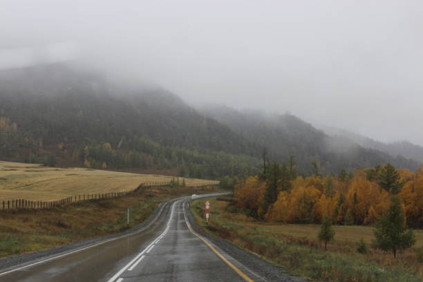 istock Autumn in Altai Mountains 893594022