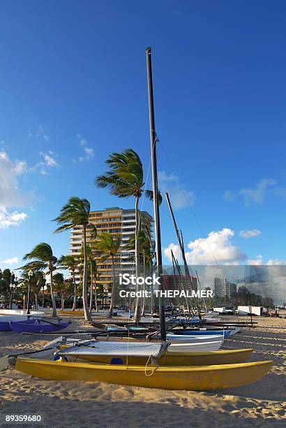 Fort Lauderdale Beach Stock Photo - Download Image Now - Beach, Caribbean Sea, Catamaran