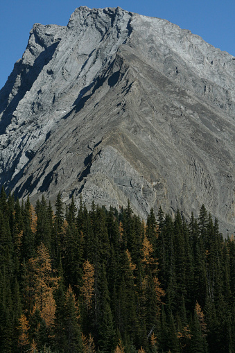 Mt Galatea, showing thrust faults, geological folding,	Chester Lake trail	Canadian Rockies,Kananaskis,	Alberta, Canada
