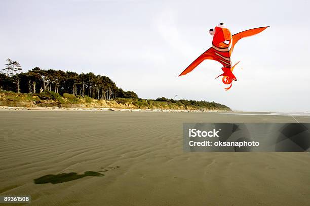 Pomarańczowy Kite - zdjęcia stockowe i więcej obrazów Ameryka - Ameryka, Brzeg wody, Chmura