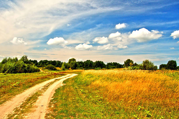 istock Country road in field 89361734