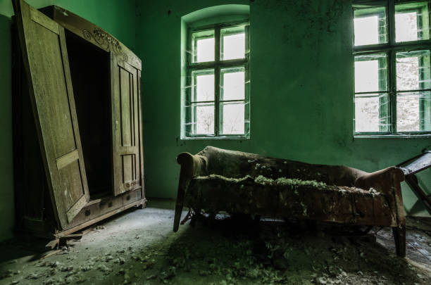 istock green room with couch and cabinet 893619372