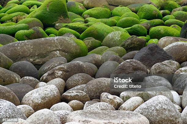 Stones With Moss Stock Photo - Download Image Now - Abstract, Atlantic Ocean, Backgrounds