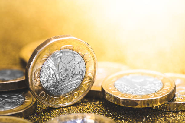 one pound coin - one pound coin imagens e fotografias de stock