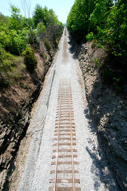 Railroad Tracks - Vertical stock photo