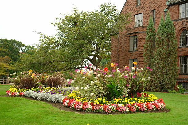 istock Beautiful Flower Garden 89362966
