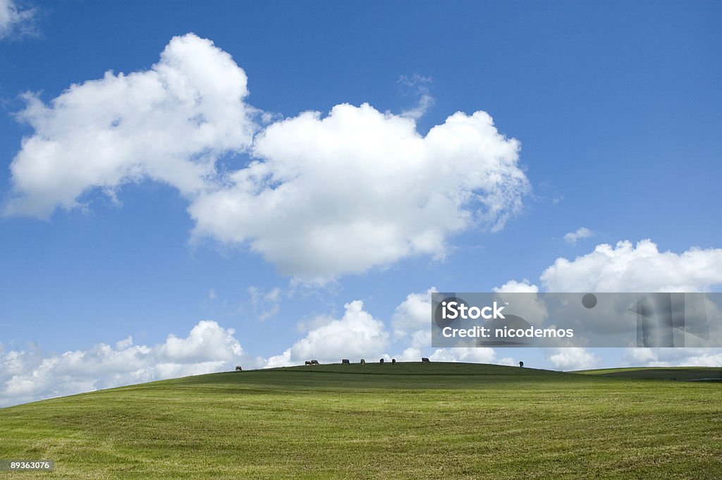 Summer Landscape - Royalty-free Aangelegd Stockfoto
